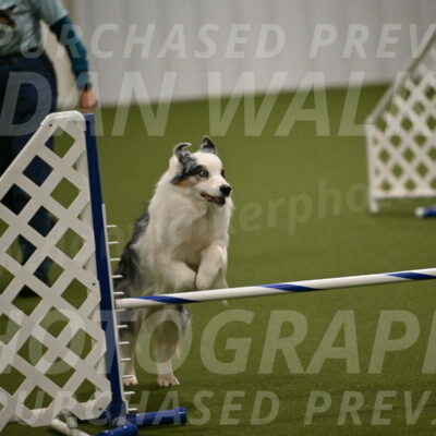 Sunny-Claudia-Brydon-09278