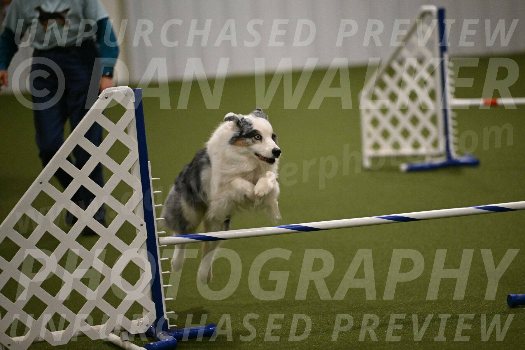 Sunny-Claudia-Brydon-09279