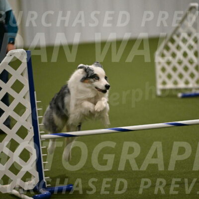 Sunny-Claudia-Brydon-09279