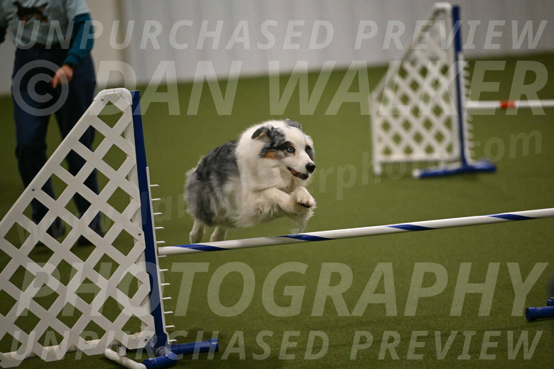 Sunny-Claudia-Brydon-09280