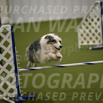 Sunny-Claudia-Brydon-09280