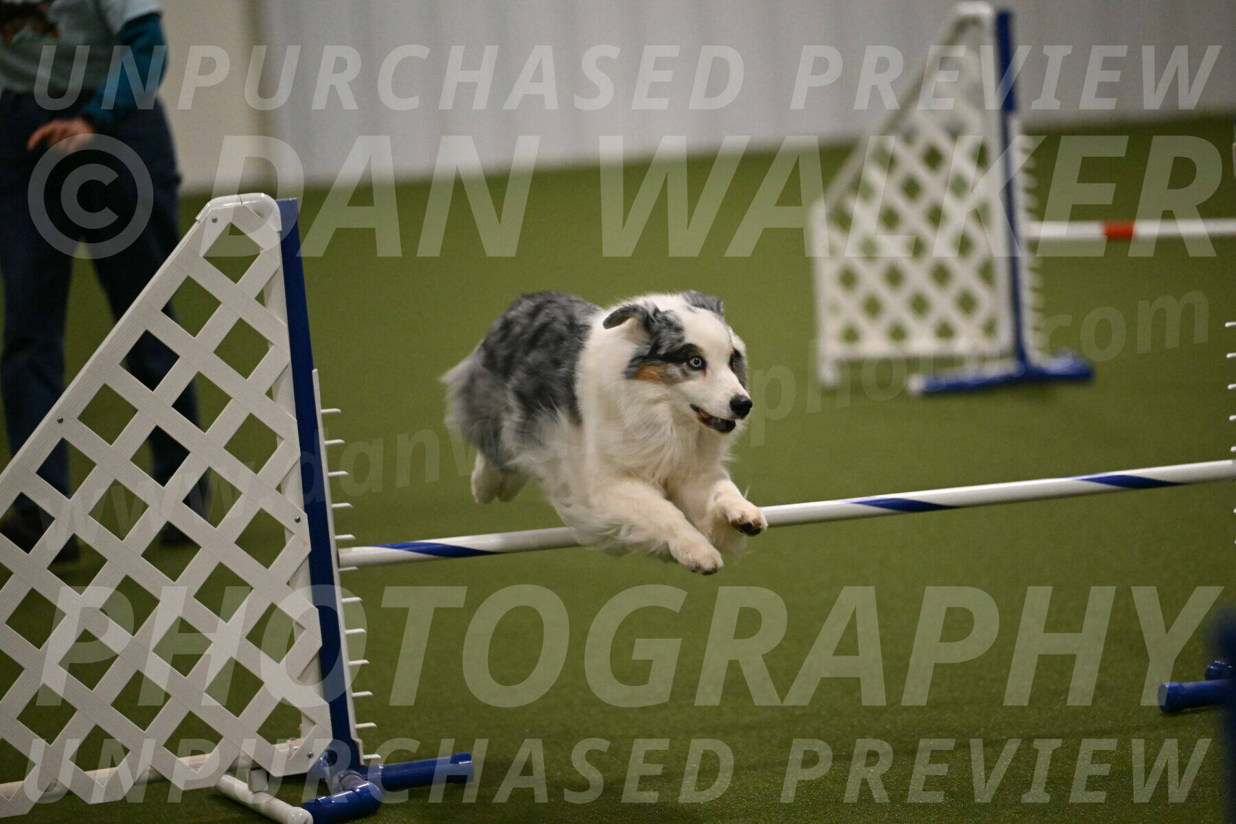 Sunny-Claudia-Brydon-09281