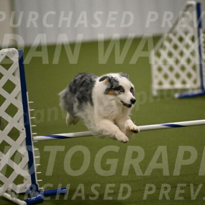 Sunny-Claudia-Brydon-09281