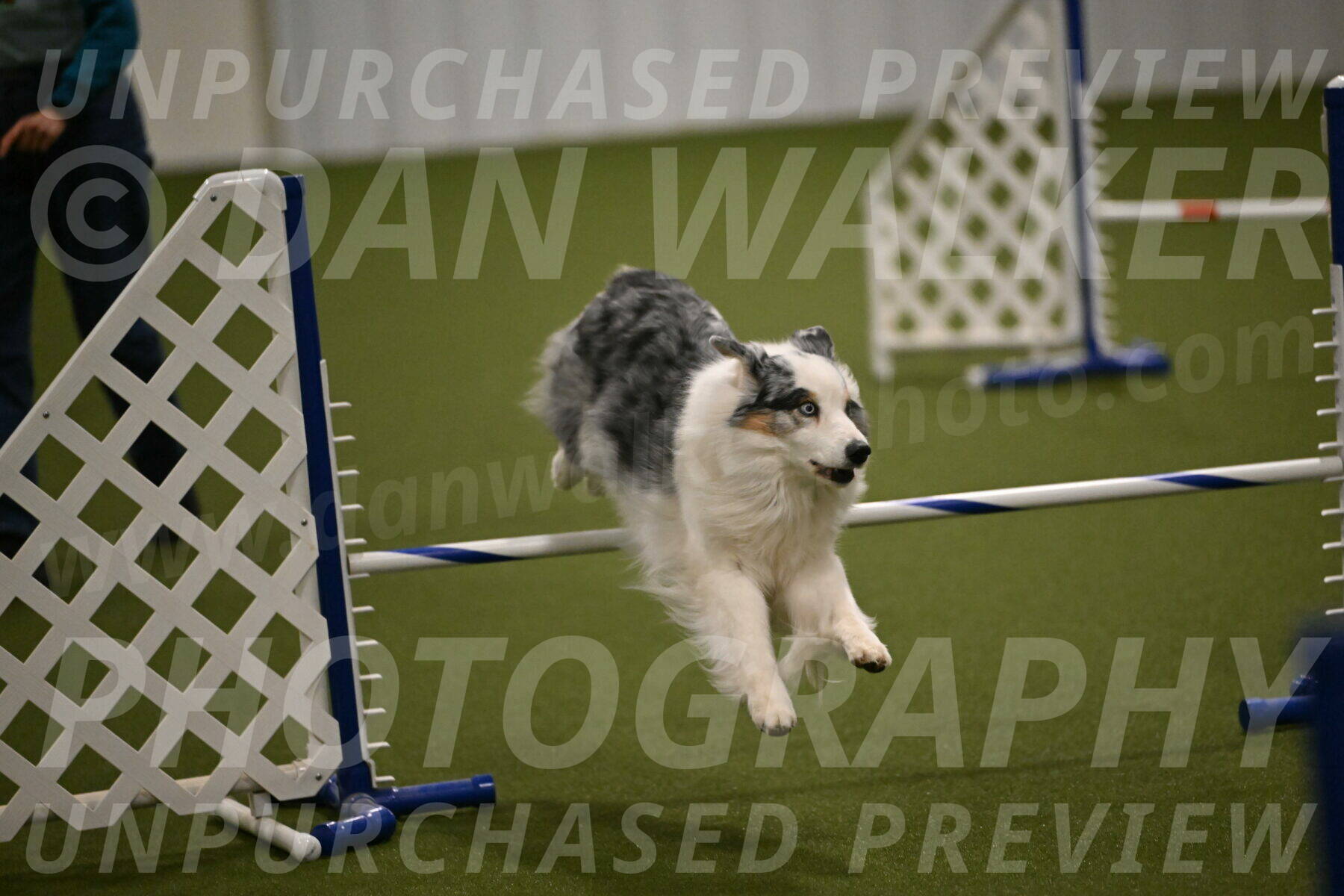 Sunny-Claudia-Brydon-09282