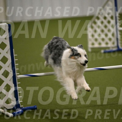 Sunny-Claudia-Brydon-09282