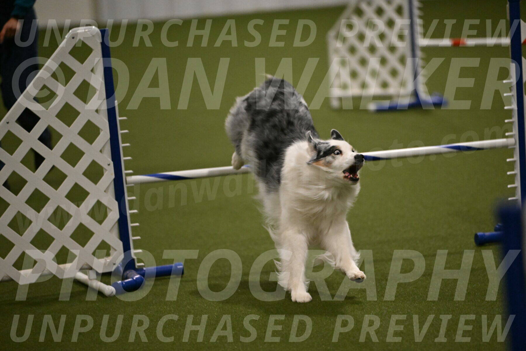 Sunny-Claudia-Brydon-09283