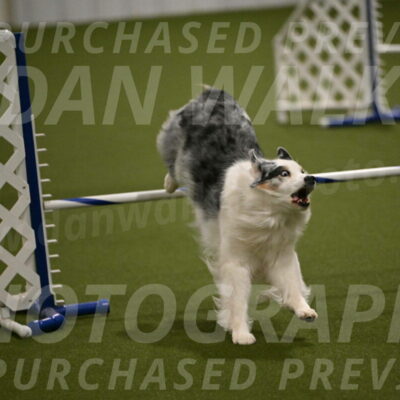 Sunny-Claudia-Brydon-09283