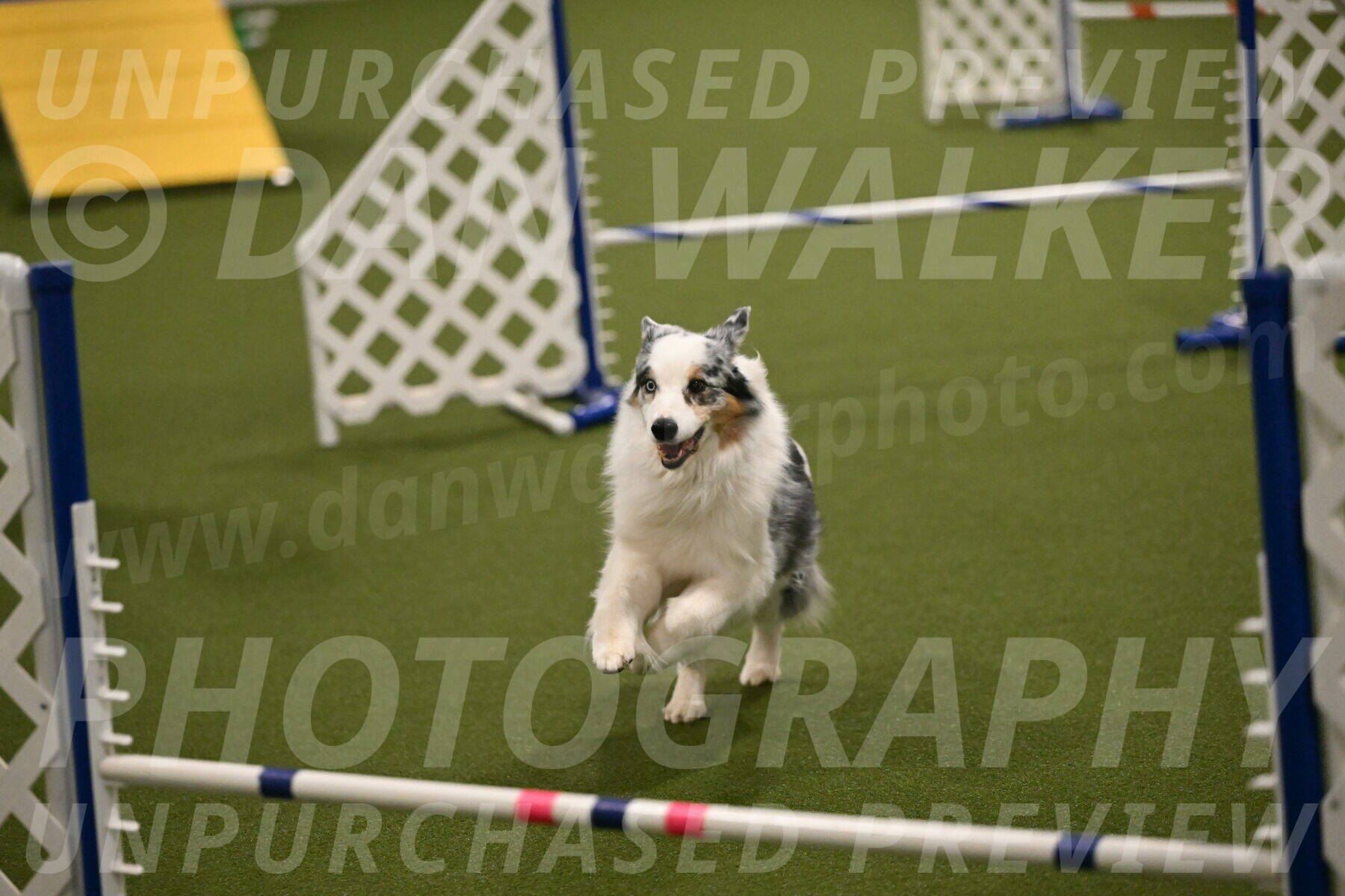 Sunny-Claudia-Brydon-09284