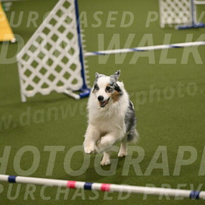 Sunny-Claudia-Brydon-09284