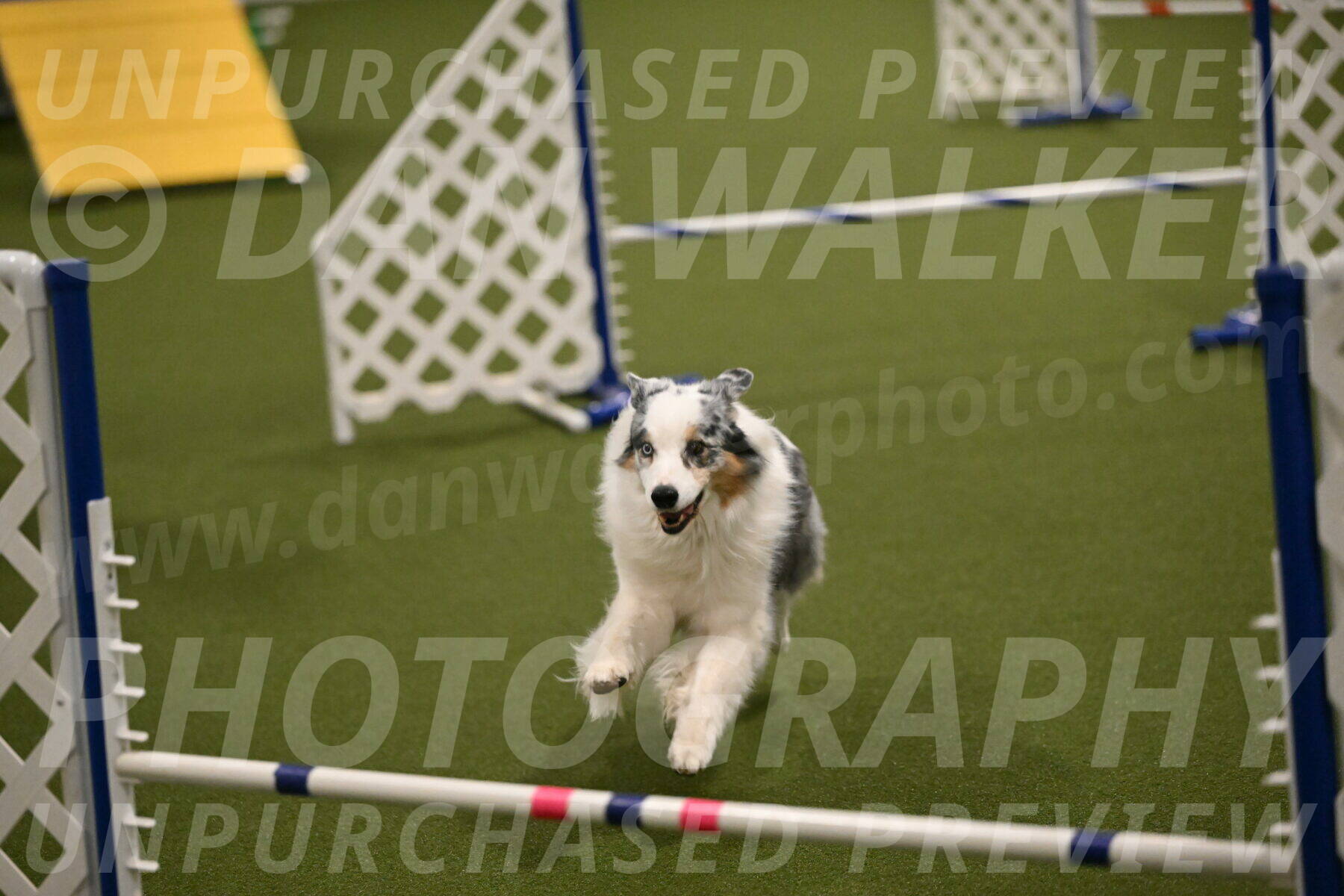 Sunny-Claudia-Brydon-09285