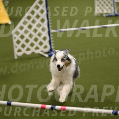 Sunny-Claudia-Brydon-09285