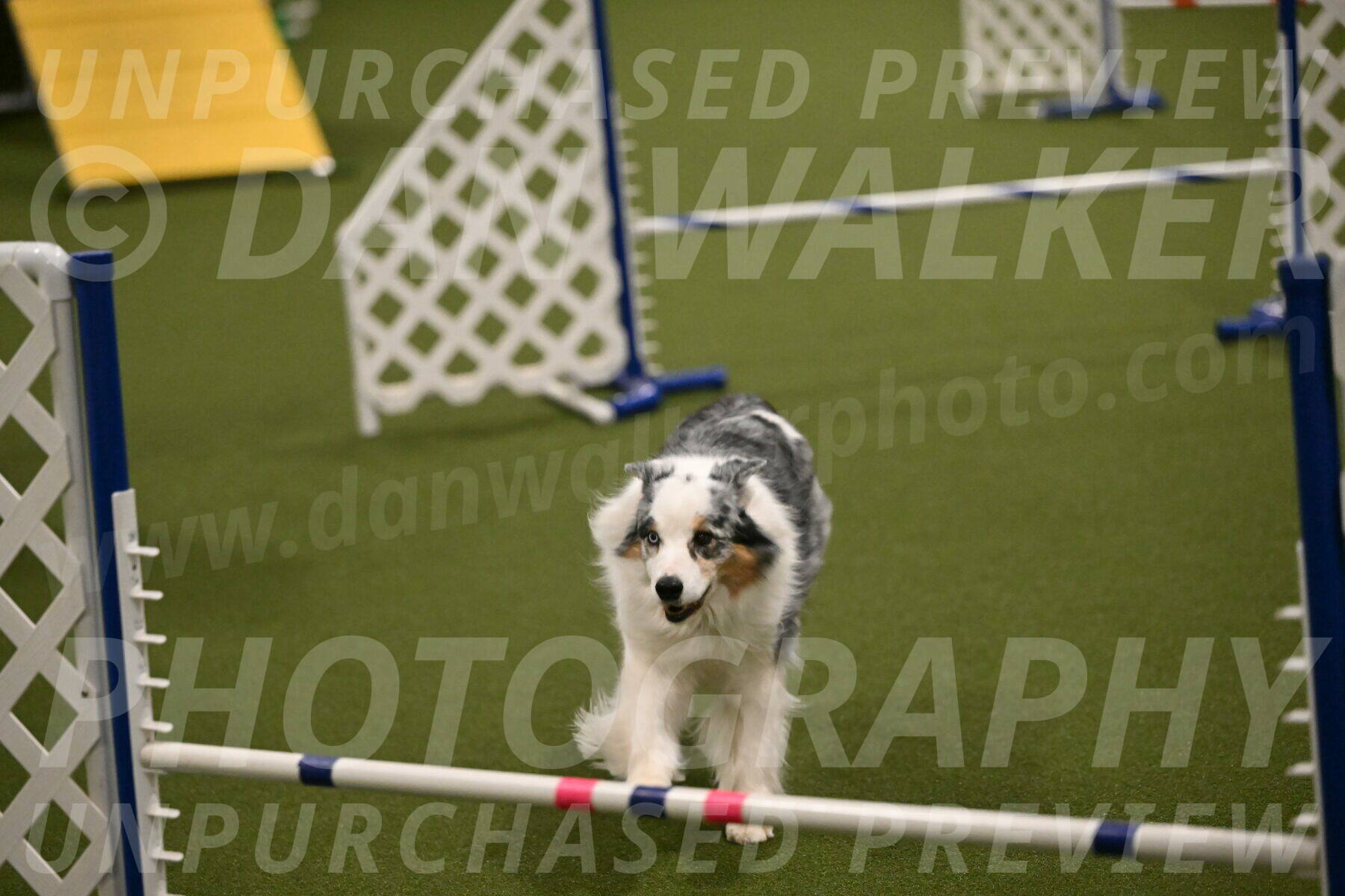 Sunny-Claudia-Brydon-09286