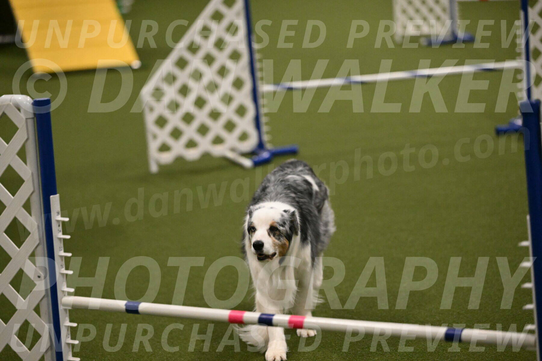 Sunny-Claudia-Brydon-09287