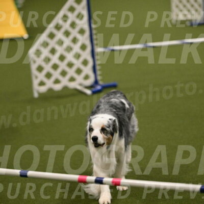 Sunny-Claudia-Brydon-09287