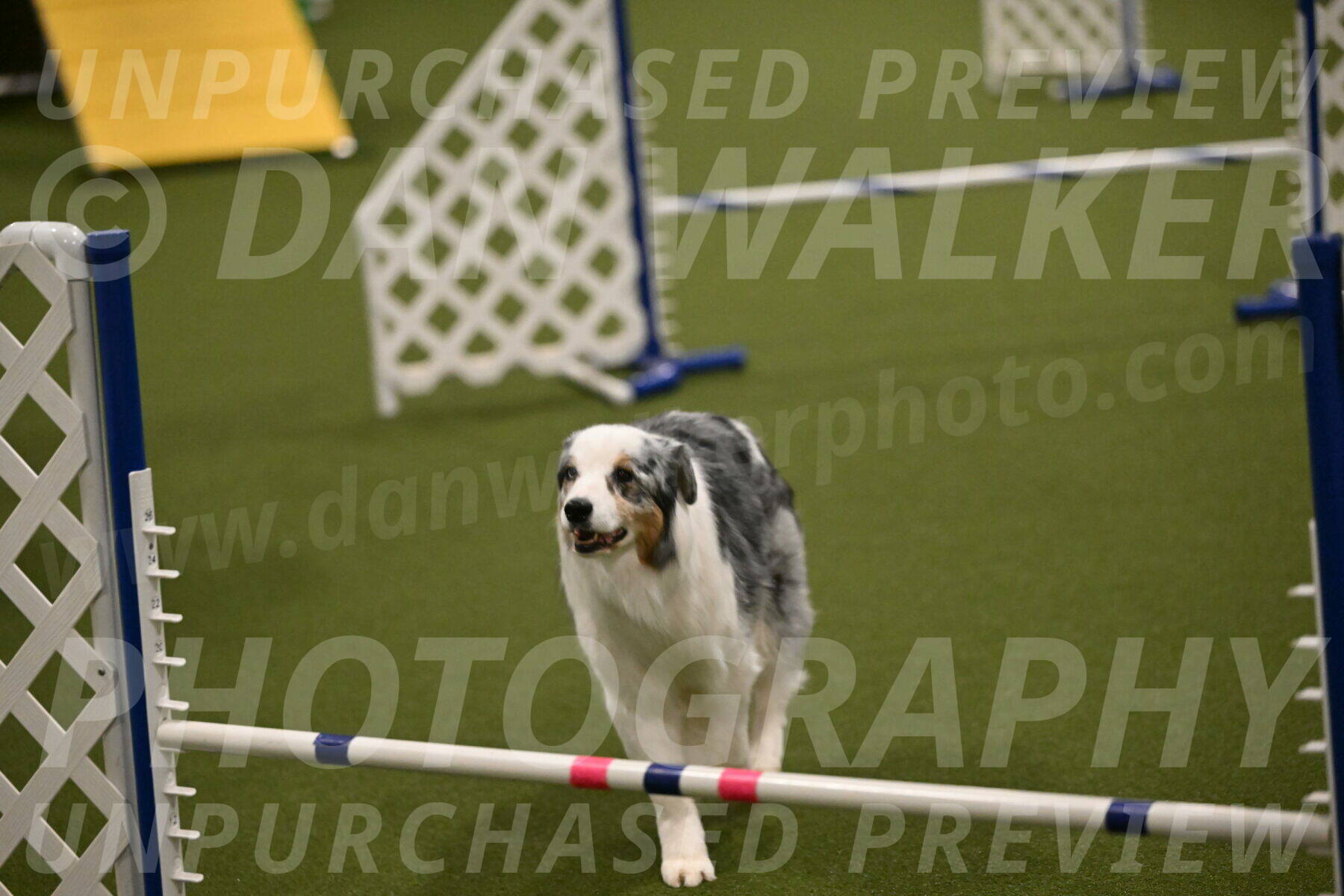 Sunny-Claudia-Brydon-09288