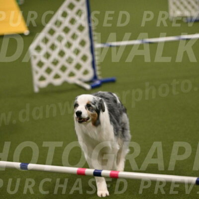 Sunny-Claudia-Brydon-09288