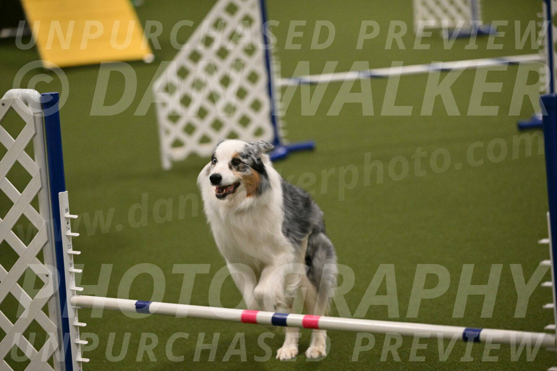 Sunny-Claudia-Brydon-09289