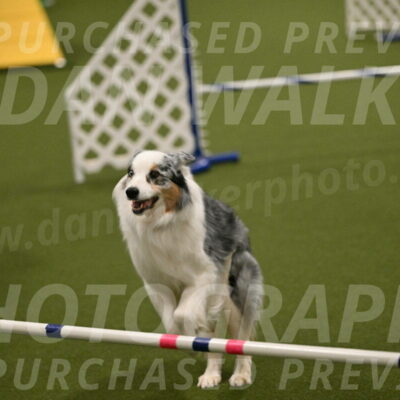 Sunny-Claudia-Brydon-09289