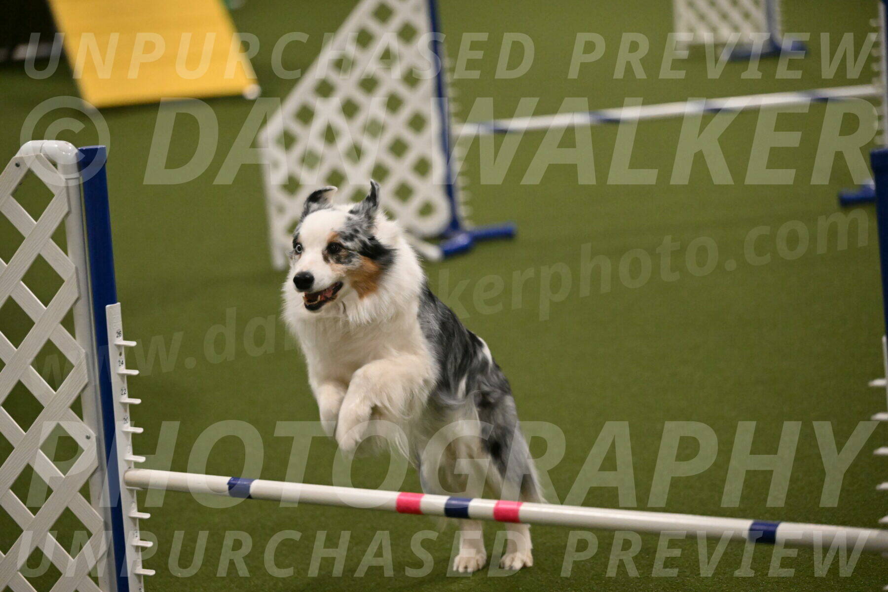 Sunny-Claudia-Brydon-09290