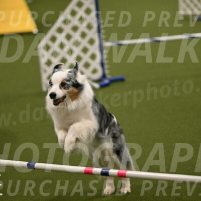 Sunny-Claudia-Brydon-09290