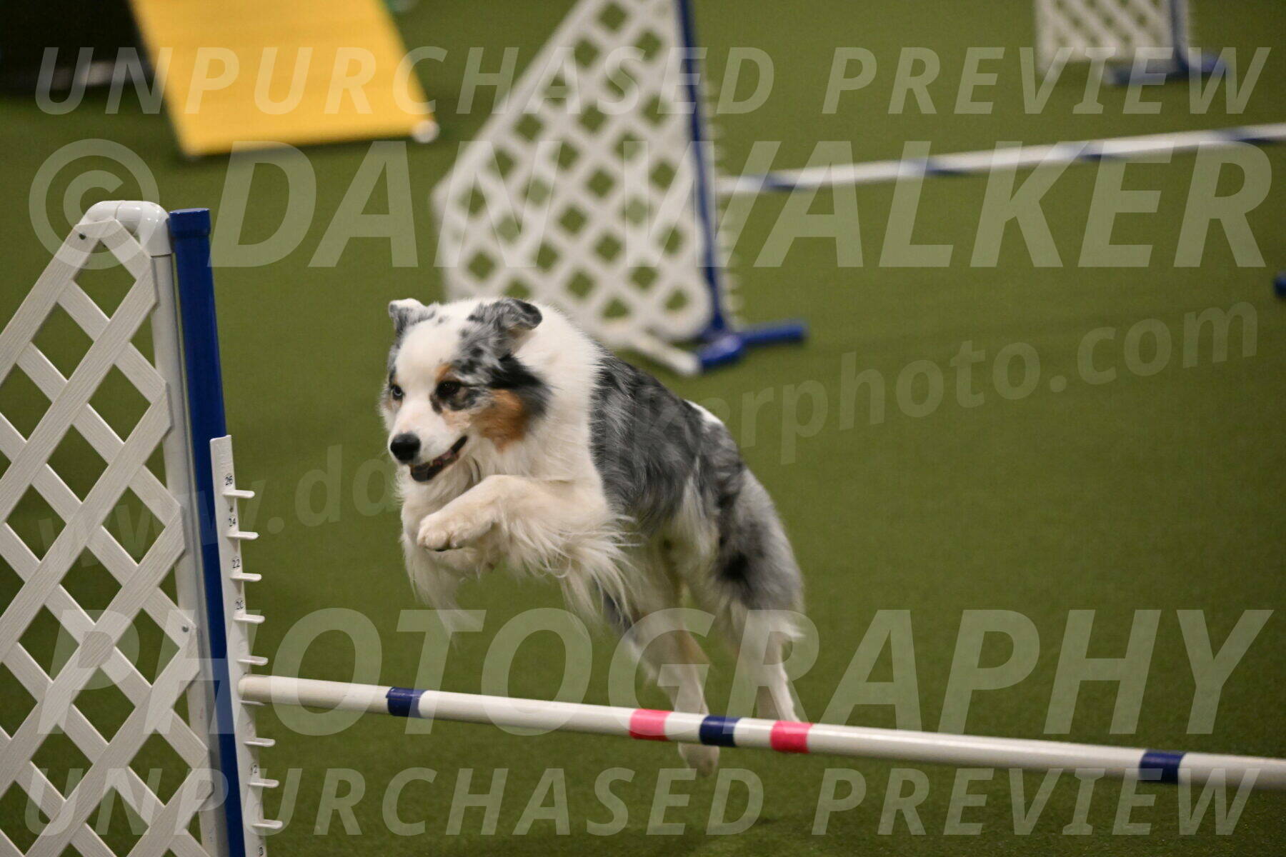 Sunny-Claudia-Brydon-09291