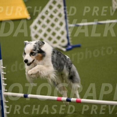 Sunny-Claudia-Brydon-09291