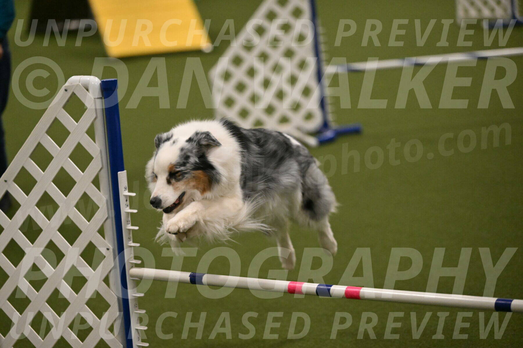 Sunny-Claudia-Brydon-09292