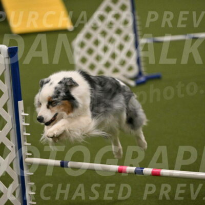 Sunny-Claudia-Brydon-09292