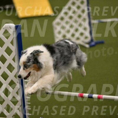 Sunny-Claudia-Brydon-09293