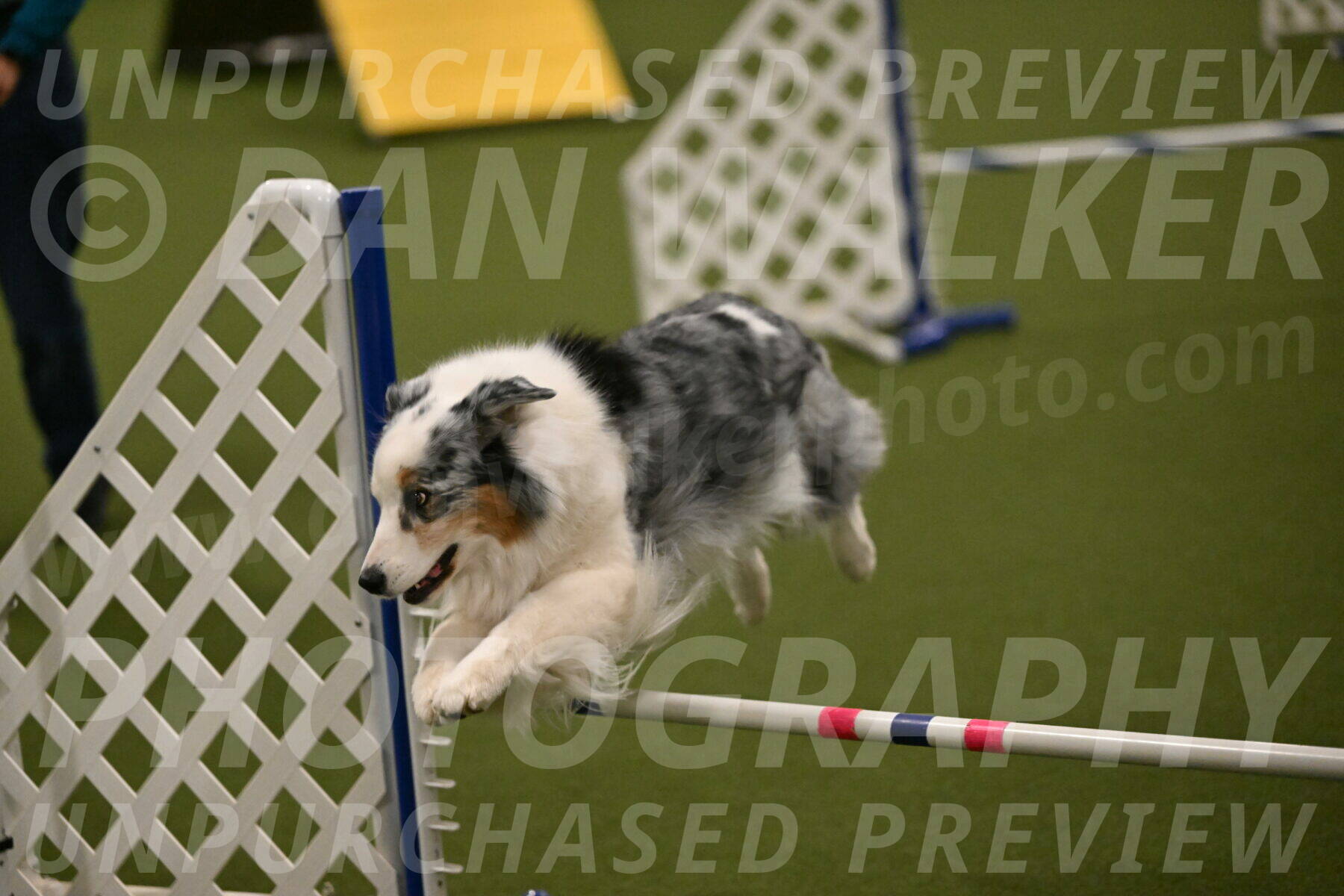 Sunny-Claudia-Brydon-09293