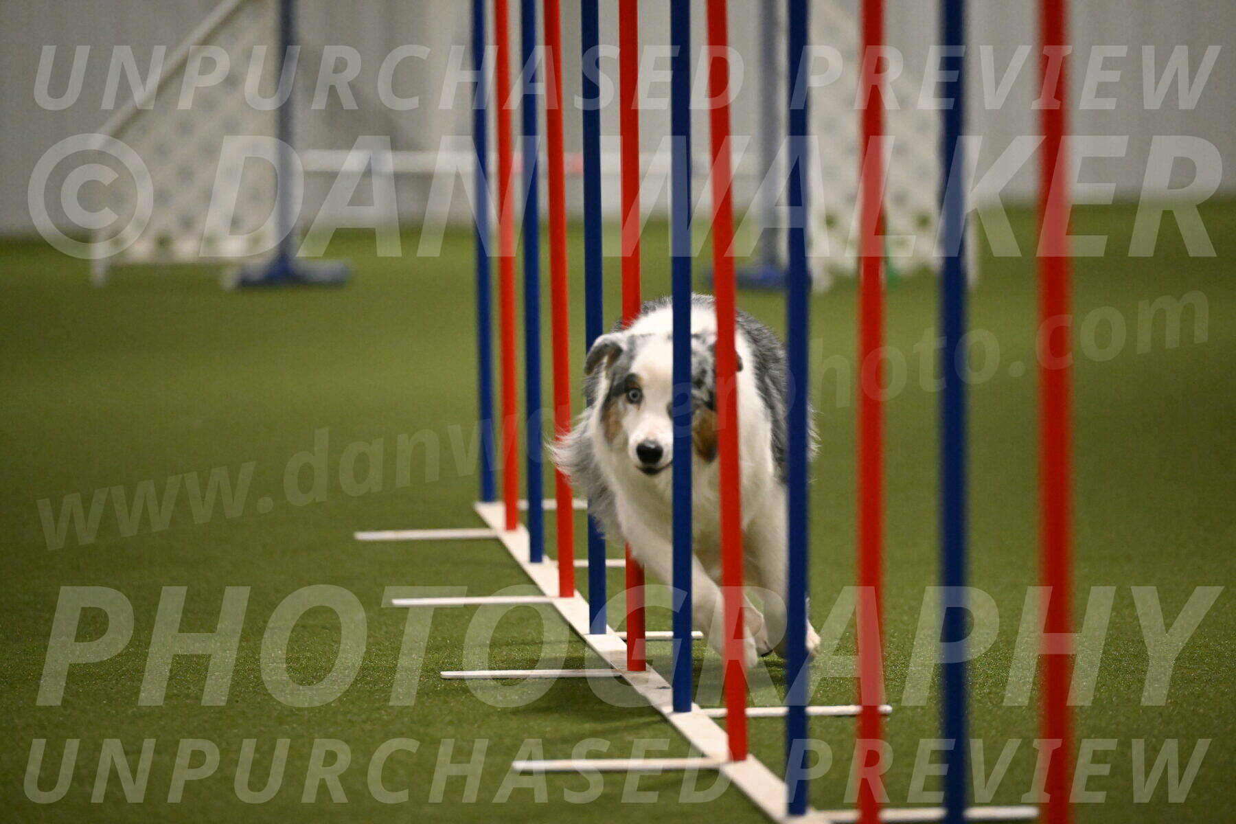 Sunny-Claudia-Brydon-09294