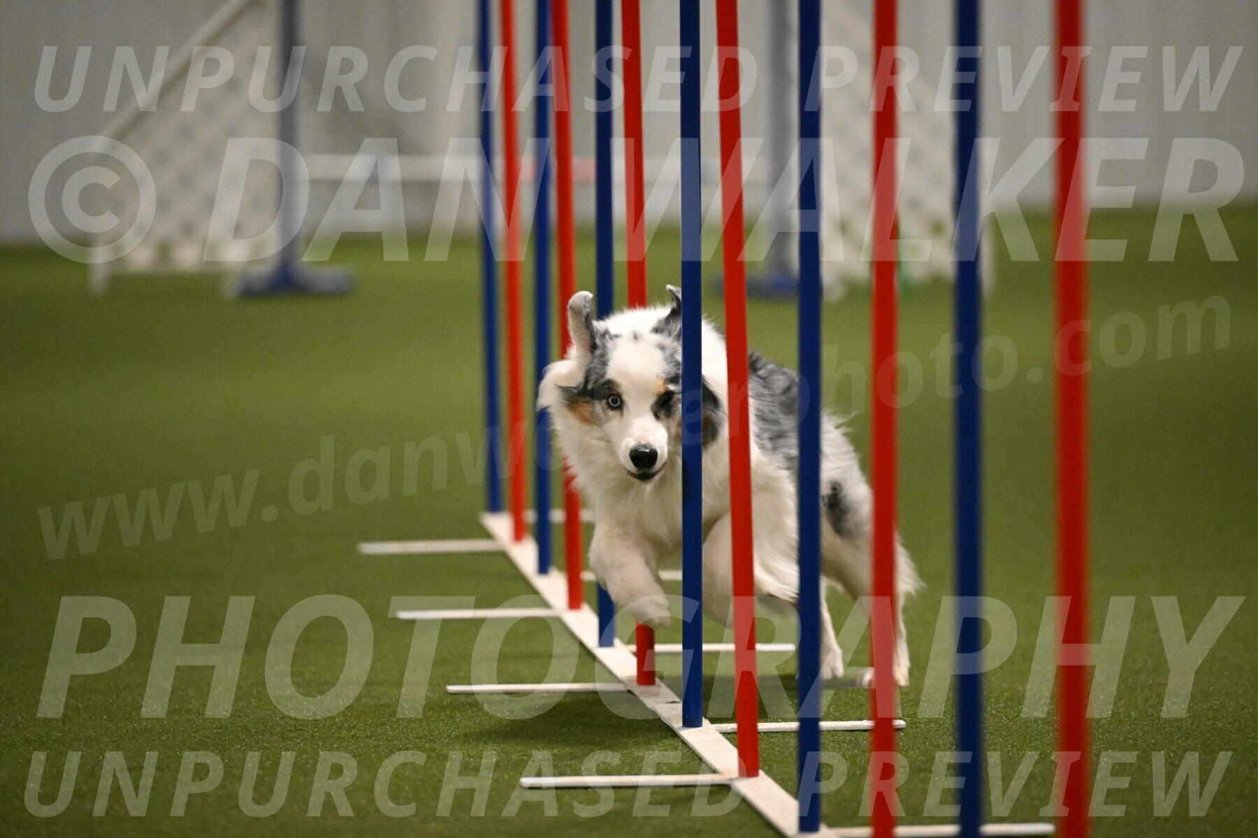 Sunny-Claudia-Brydon-09295