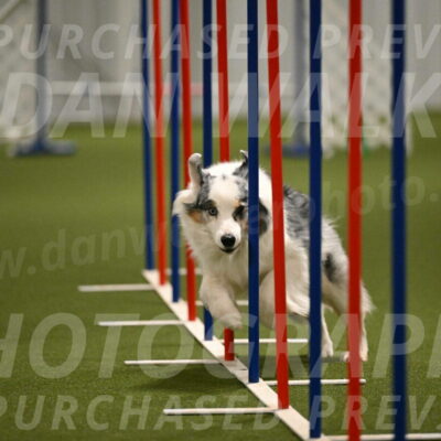 Sunny-Claudia-Brydon-09295