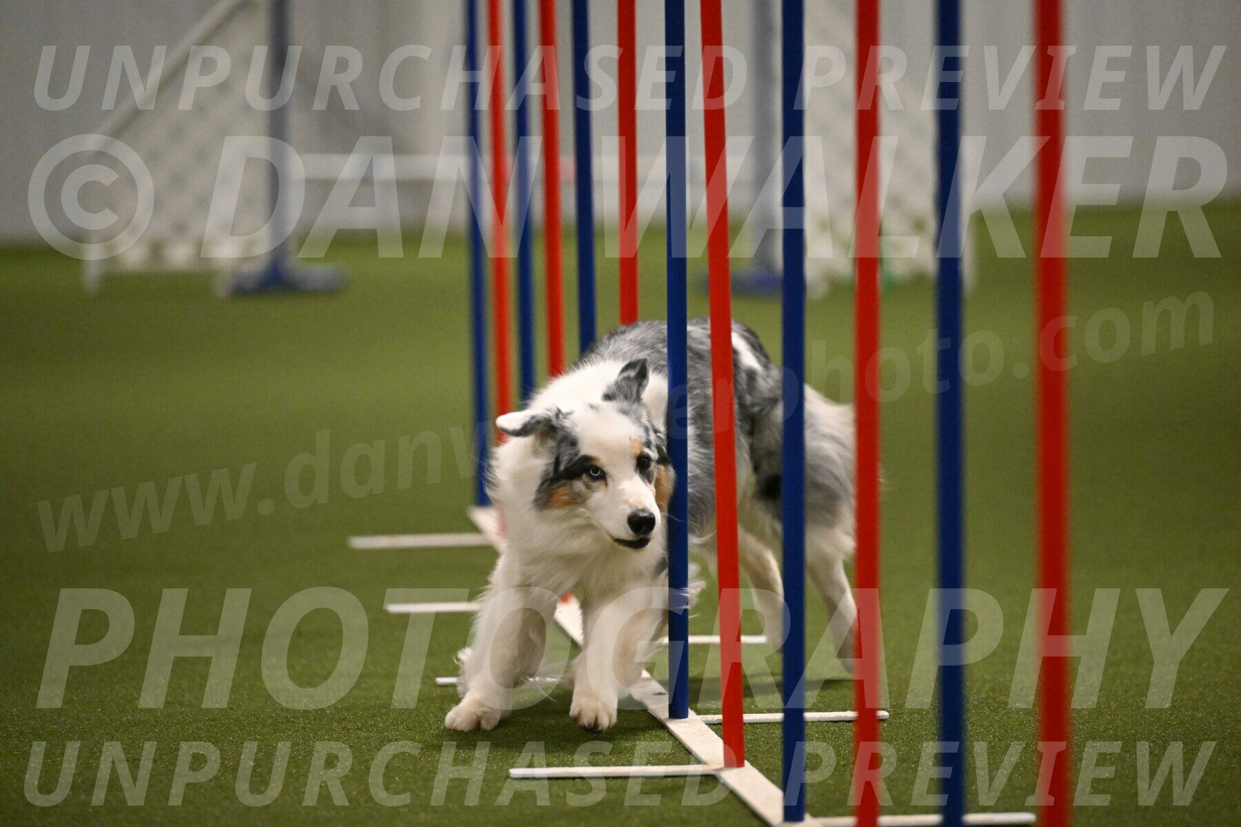 Sunny-Claudia-Brydon-09296