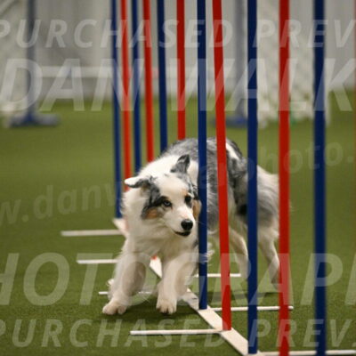 Sunny-Claudia-Brydon-09296