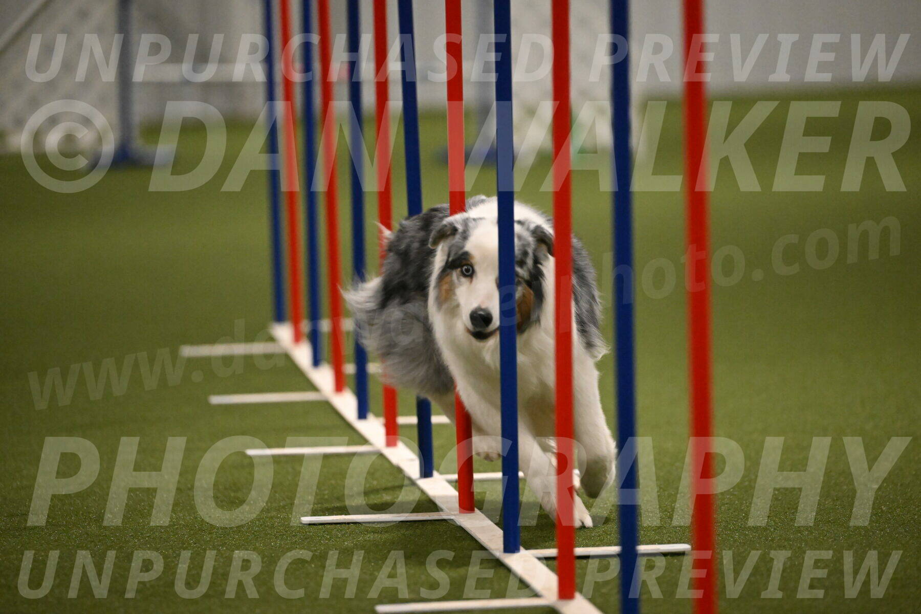 Sunny-Claudia-Brydon-09297