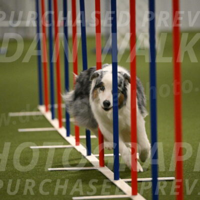 Sunny-Claudia-Brydon-09297