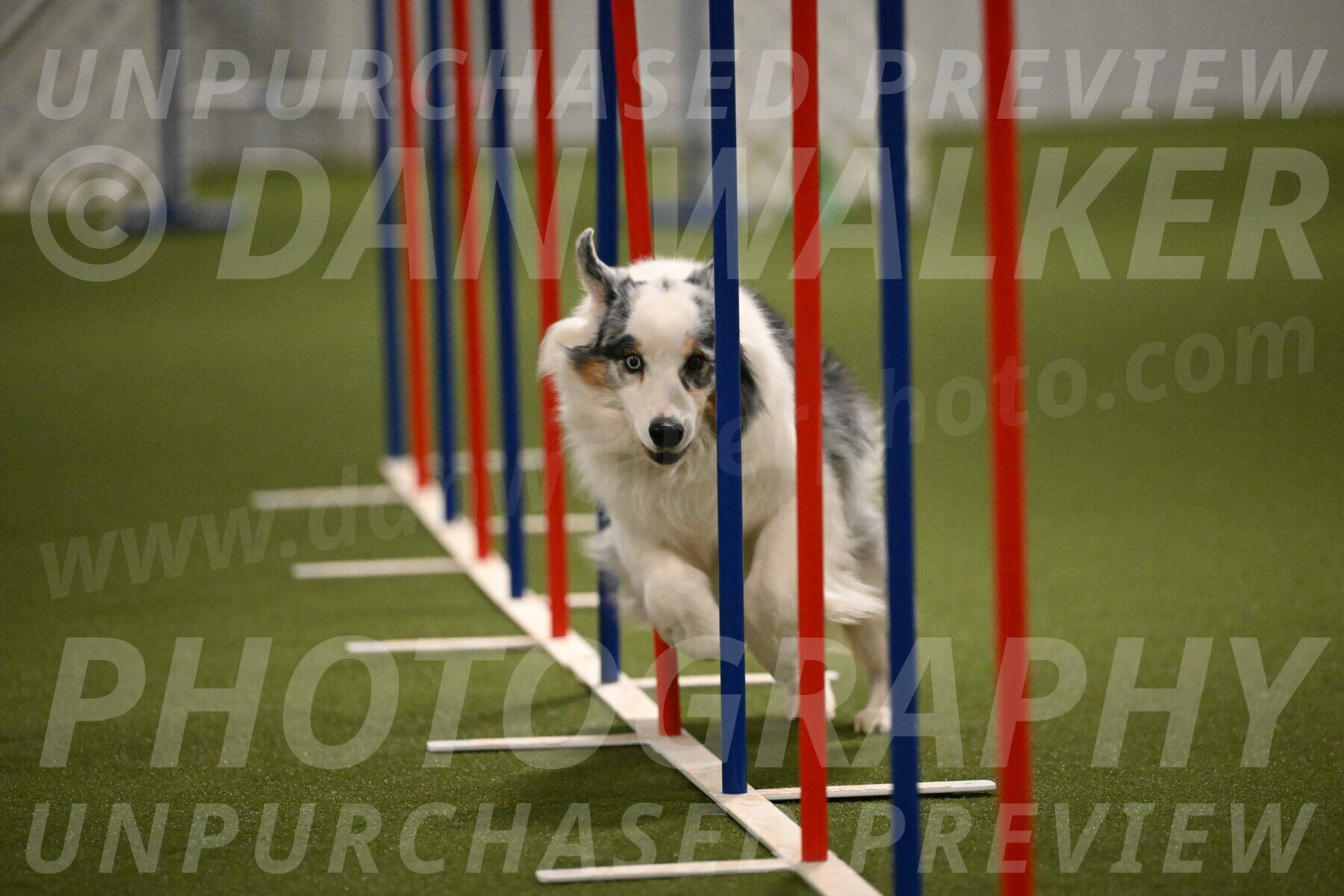 Sunny-Claudia-Brydon-09298