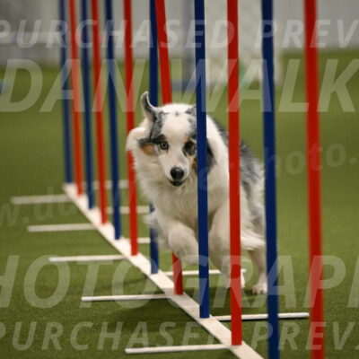 Sunny-Claudia-Brydon-09298