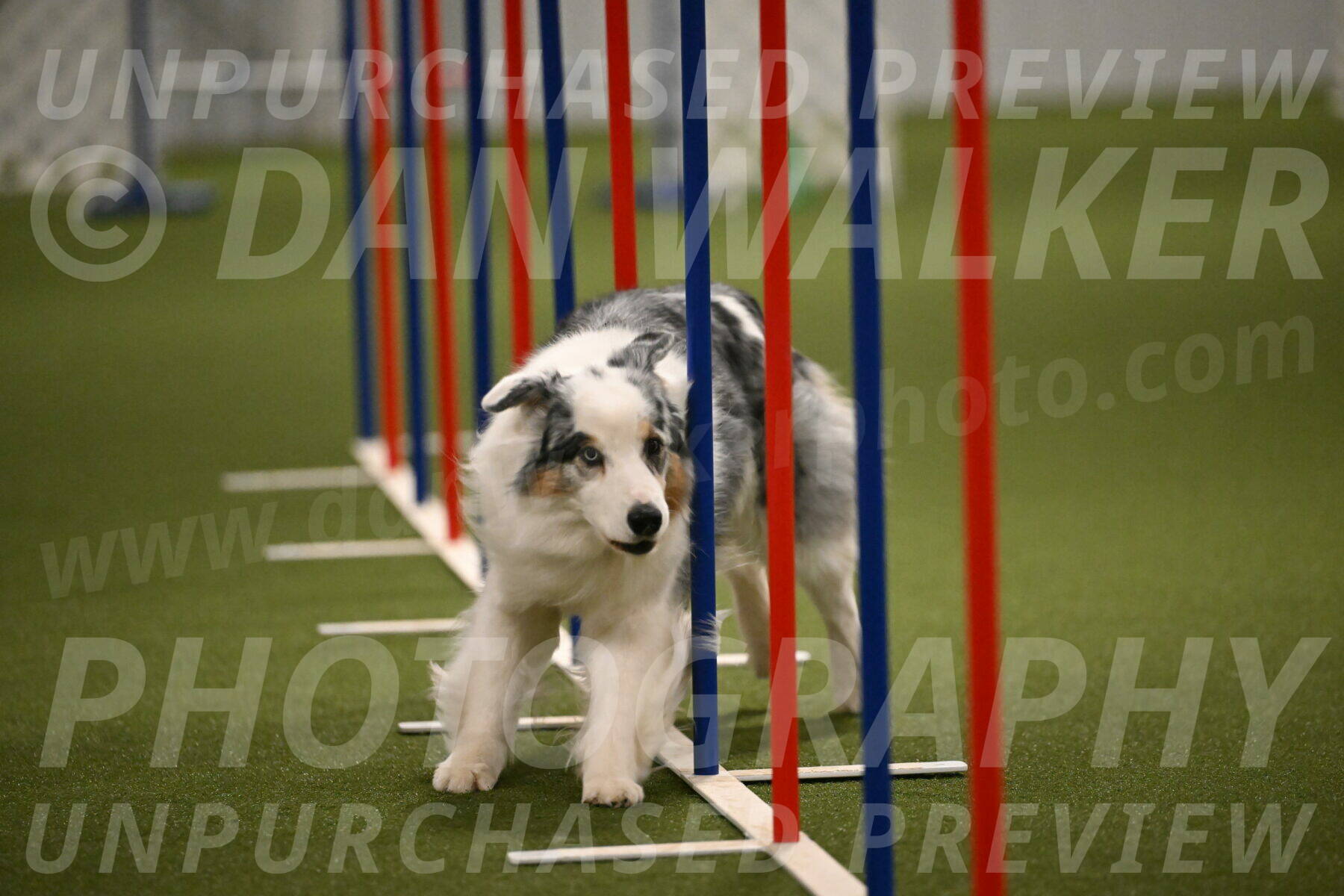 Sunny-Claudia-Brydon-09299