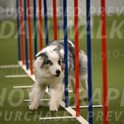 Sunny-Claudia-Brydon-09299