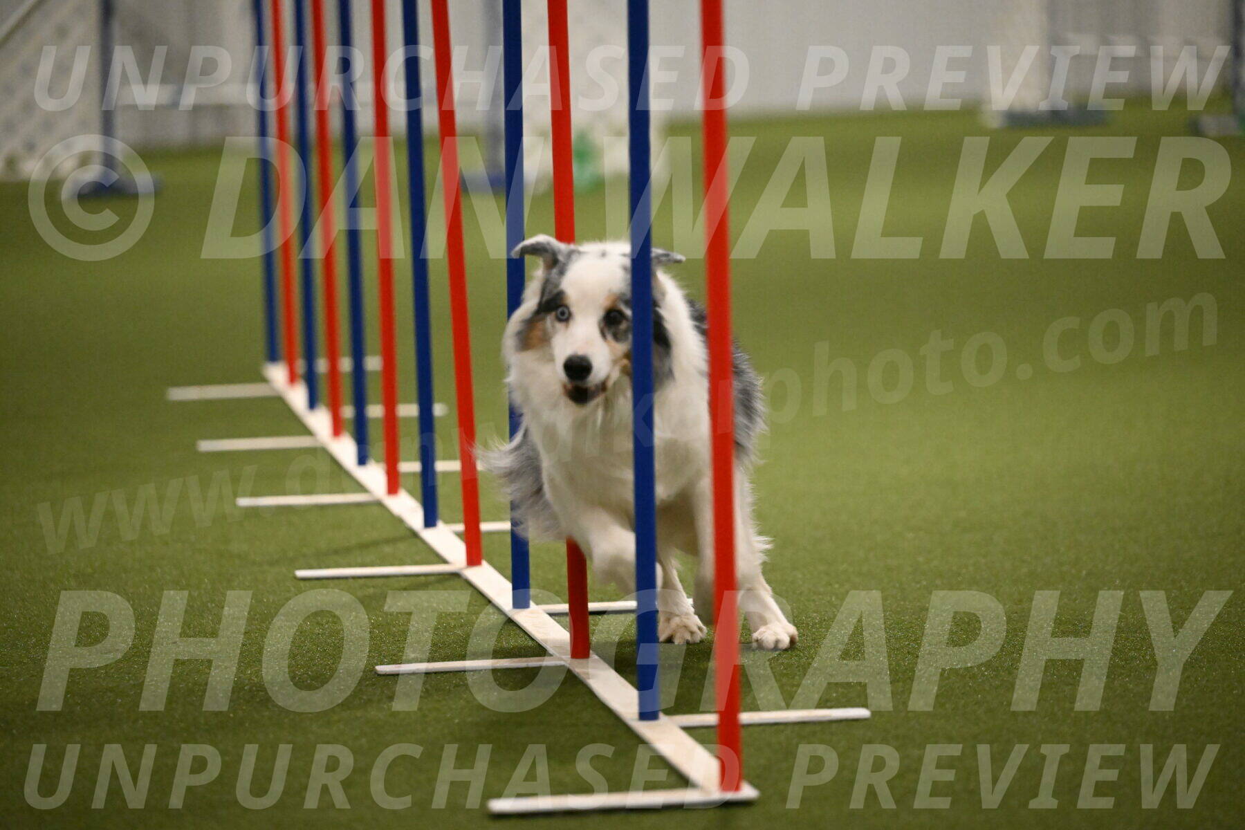 Sunny-Claudia-Brydon-09300