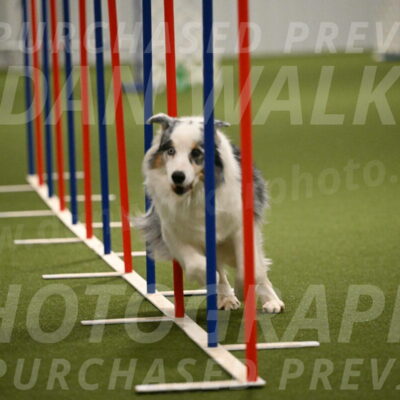 Sunny-Claudia-Brydon-09300