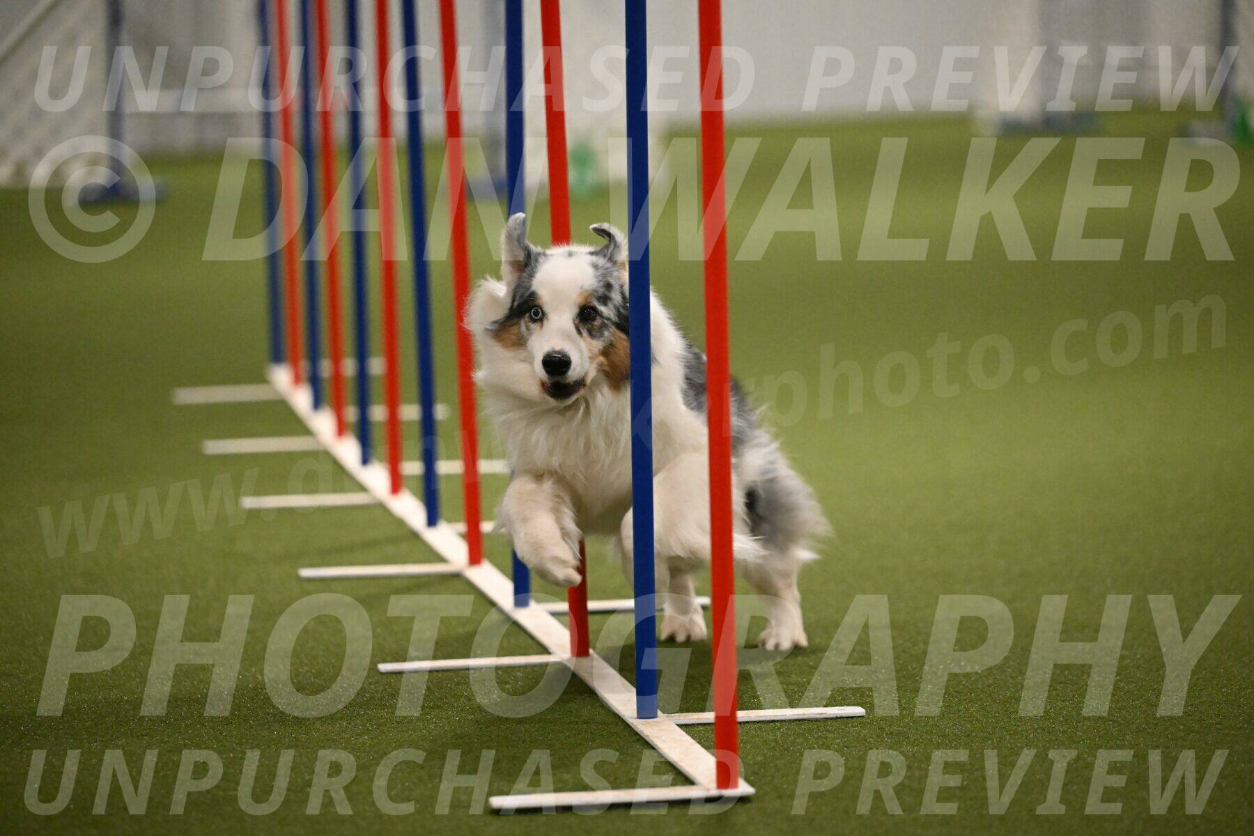 Sunny-Claudia-Brydon-09301