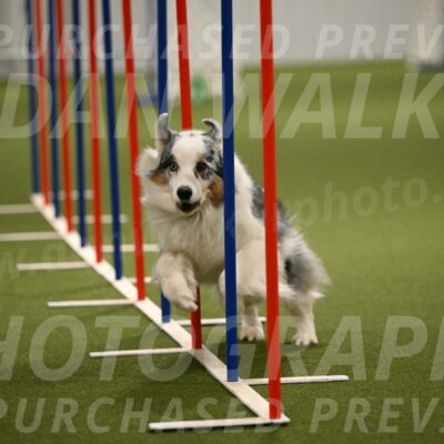 Sunny-Claudia-Brydon-09301