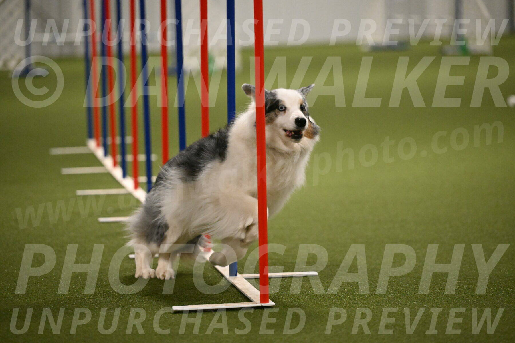 Sunny-Claudia-Brydon-09302