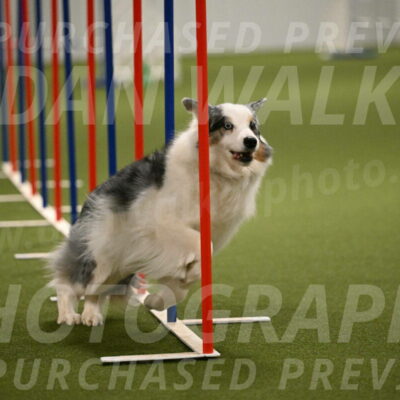 Sunny-Claudia-Brydon-09302