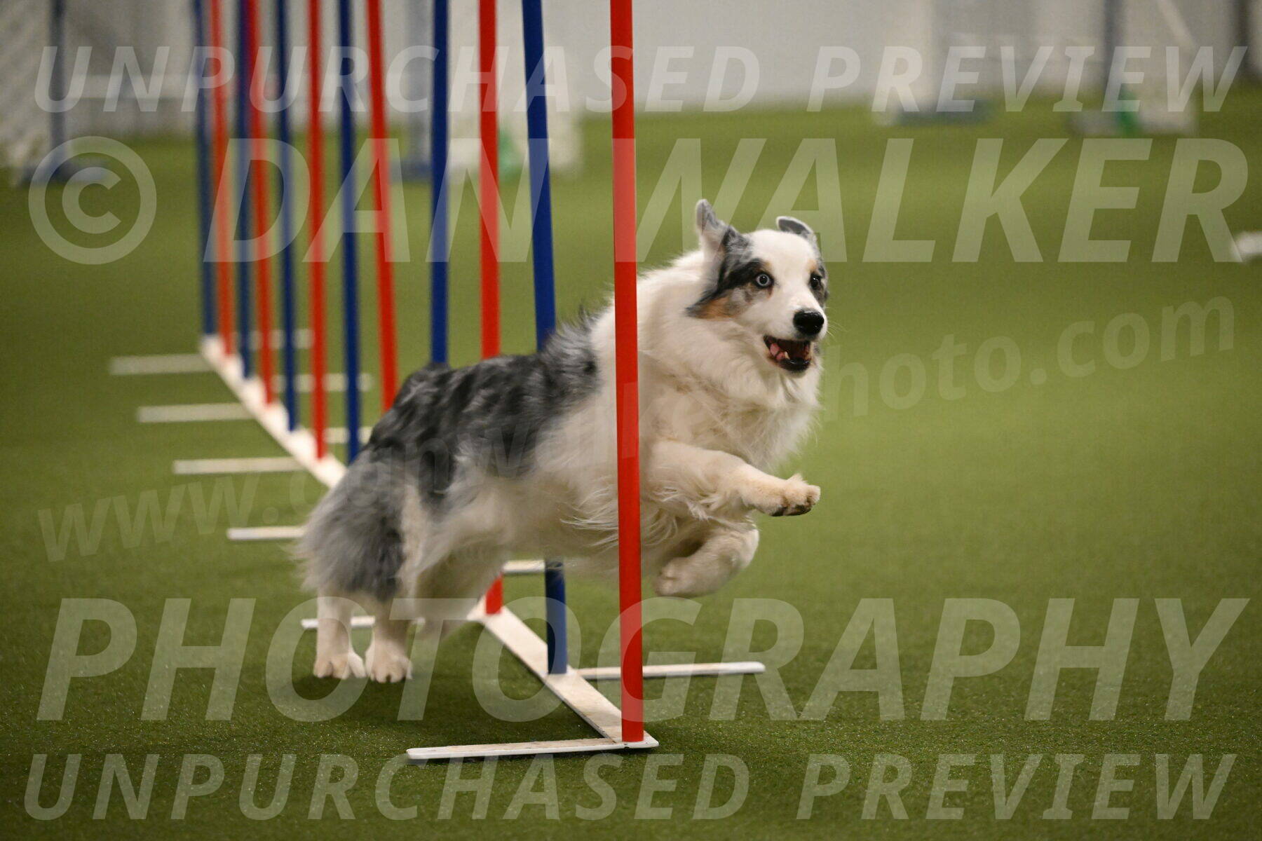 Sunny-Claudia-Brydon-09303