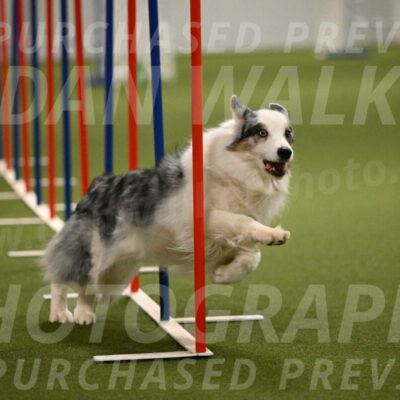 Sunny-Claudia-Brydon-09303