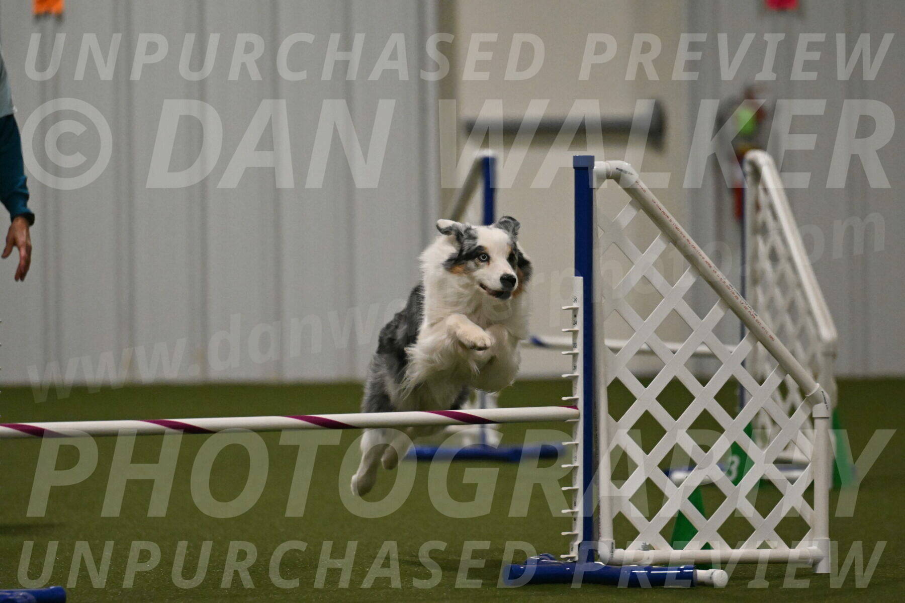 Sunny-Claudia-Brydon-09304